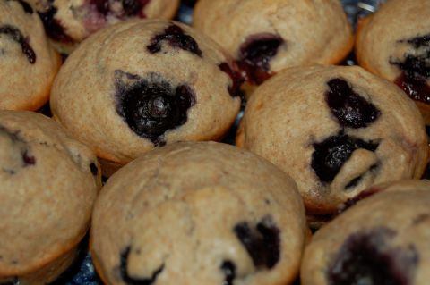 Blueberry Muffins by Andrea Badgley on Butterfly Mind