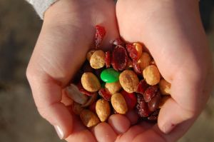 Trail Mix, Cascades Hike, Giles Co, VA by Andrea Badgley on Butterfly Mind