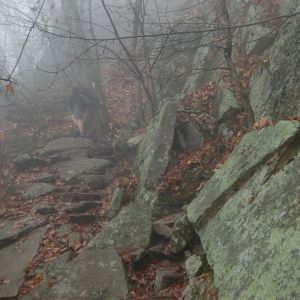Dragon's Tooth Trail by Andrea Badgley on Butterfly Mind