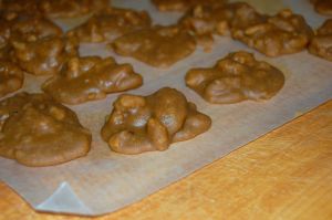 Cooled pecan pralines by Andrea Badgley on Butterfly Mind