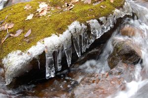Icicles in Little Stony Creek by Andrea Badgley at Butterfly Mind
