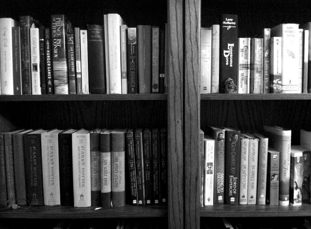 Organized bookshelves on andreabadgley.com black and white