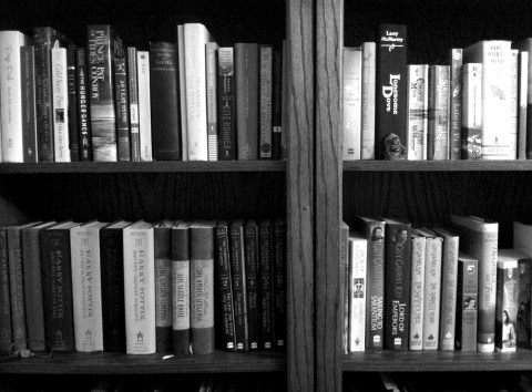 Organized bookshelves on andreabadgley.com black and white