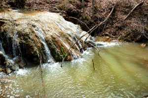 Spring fed Appalachian stream at Falls Ridge Preserve Blacksburg, Virginia on andreabadgley.com