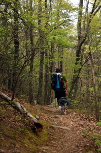 Hiker and his dog on the Appalachian Trail on andreabadgley.com