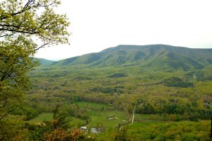 View from rock outcrop on Sawtooth Ridge hike near McAfee knob, VA on Appalachian Trail in April on andreabadgley.com