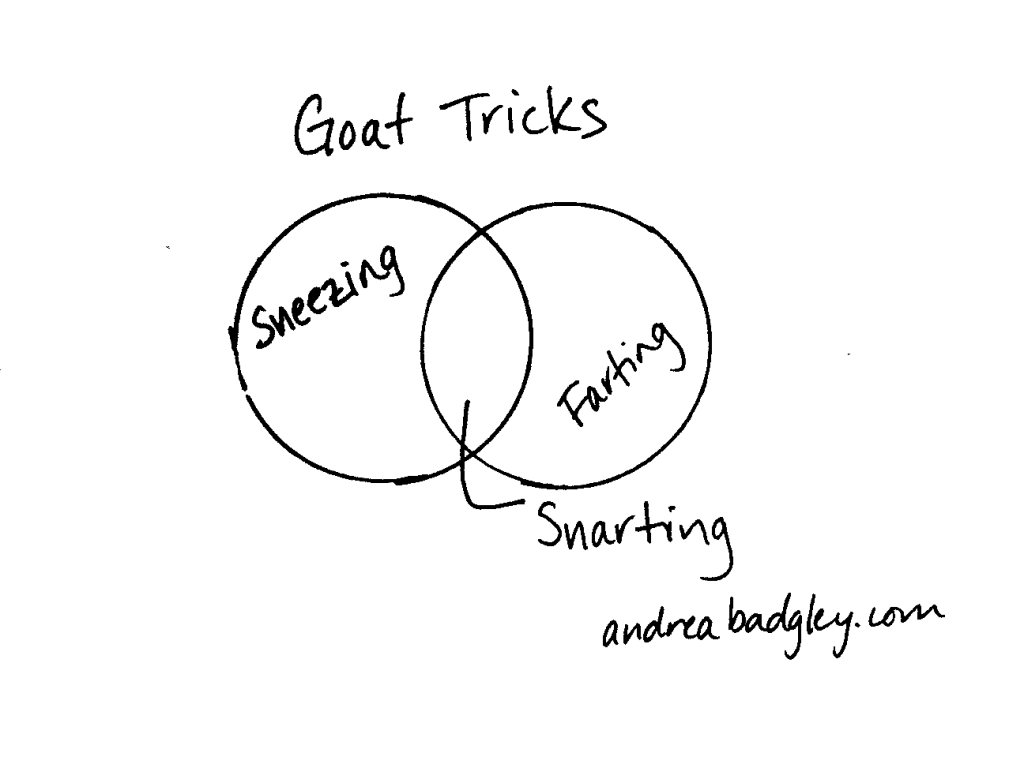 Farting goats Venn diagram (with sneezing and snarting)