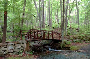 Bridge over Broken Back Run at trailhead of Old Rag Mountain, Shenandoah National Park on andreabadgley.com