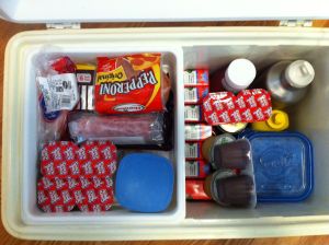 Food for Mt. Rogers Camping trip on andreabadgley.com