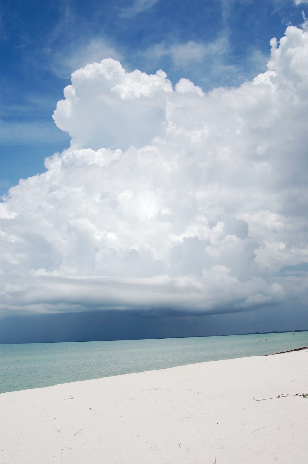 White cumulus clouds in blue sky over Gulf of Mexico Florida on andreabadgley.com