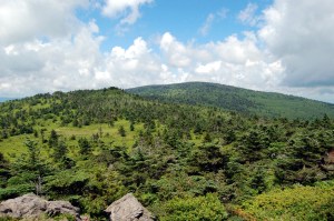 View from Appalachian Trail along Wilburn Ridge, hike to Mt. Rogers from Massie Gap, VA on andreabadgley.com