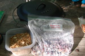 Pre-prepped ingredients for blueberry crisp on andreabadgley.com