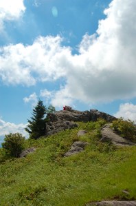 Kids on rock outcrop on Wilburn Ridge, Appalachian Trail, hike to Mt. Rogers from Massie Gap, VA on andreabadgley.com
