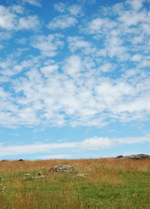 Blue sky over prairie on andreabadgley.com