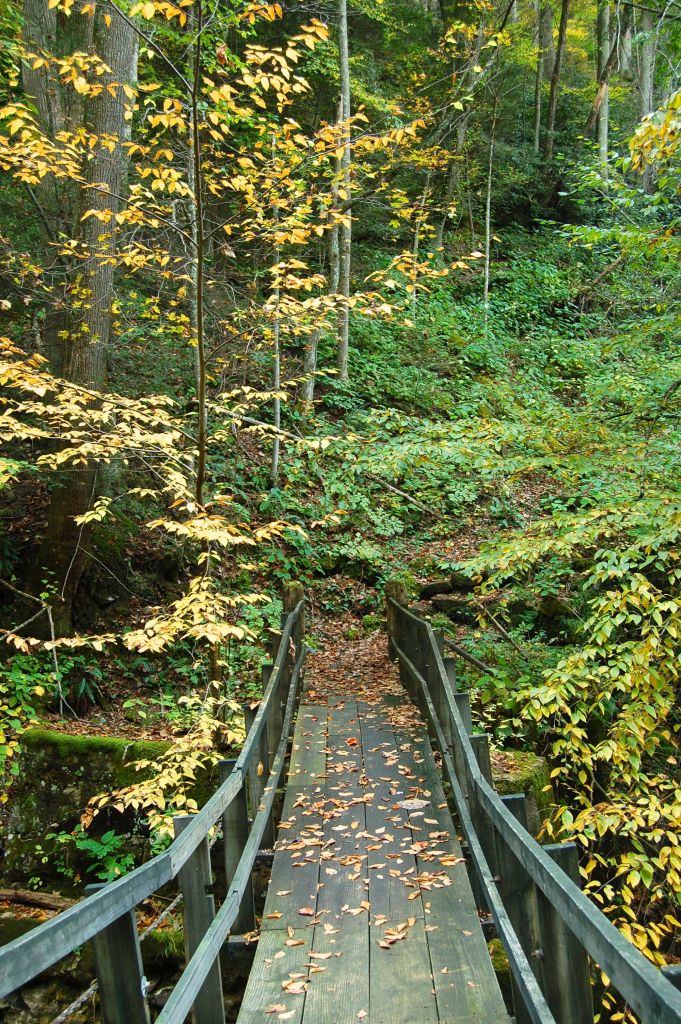 Swinging Bridge at Babcock State Park, West Virginia, autumn on andreabadgley.com