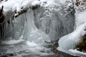 Ice sculpure in stream on Cascades hike near Blacksburg, VA January 2014 on andreabadgley.com