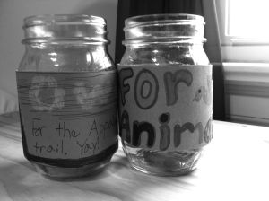 Our kids' charity jars on andreabadgley.com