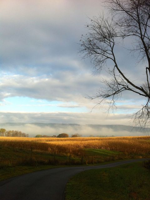 Morning walk by Andrea Badgley on andreabadgley.com