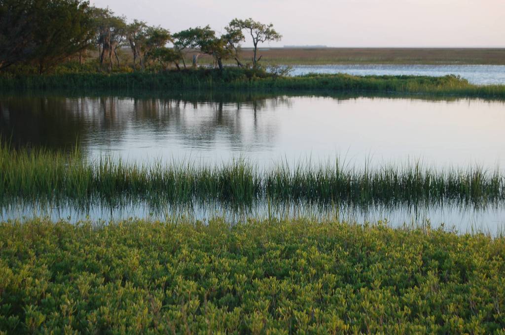 High tide in the marshes near Tybee Island, Georgia by Andrea Badgley on Butterfly mind
