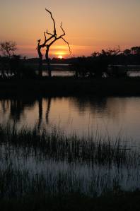Sunset at Spanish Hammock, near Tybee Island Georgia by Andrea Badgley on Butterfly Mind
