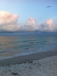 Cotton puff clouds over Gulf of Mexico, Anna Maria Island, FL. by Andrea Badgley on Butterfly Mind