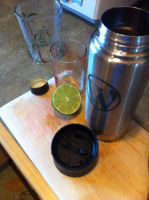 Making rum daiquiris with Klean Kanteen shaker by Andrea Badgley on Butterfly Mind