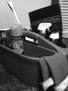 Bathroom cleaning caddy by Andrea Badgley on Butterfly Mind