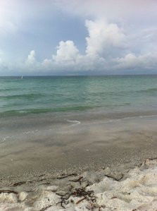 Morning clouds and beach Anna Maria Island, FL by Andrea Badgley on Butterfly Mind