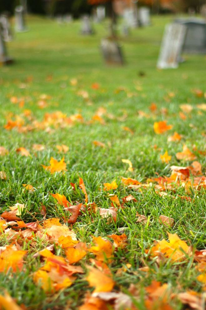 Leaves and tombstones, November, Westview Cemetery by Andrea Badgley on Butterfly Mind