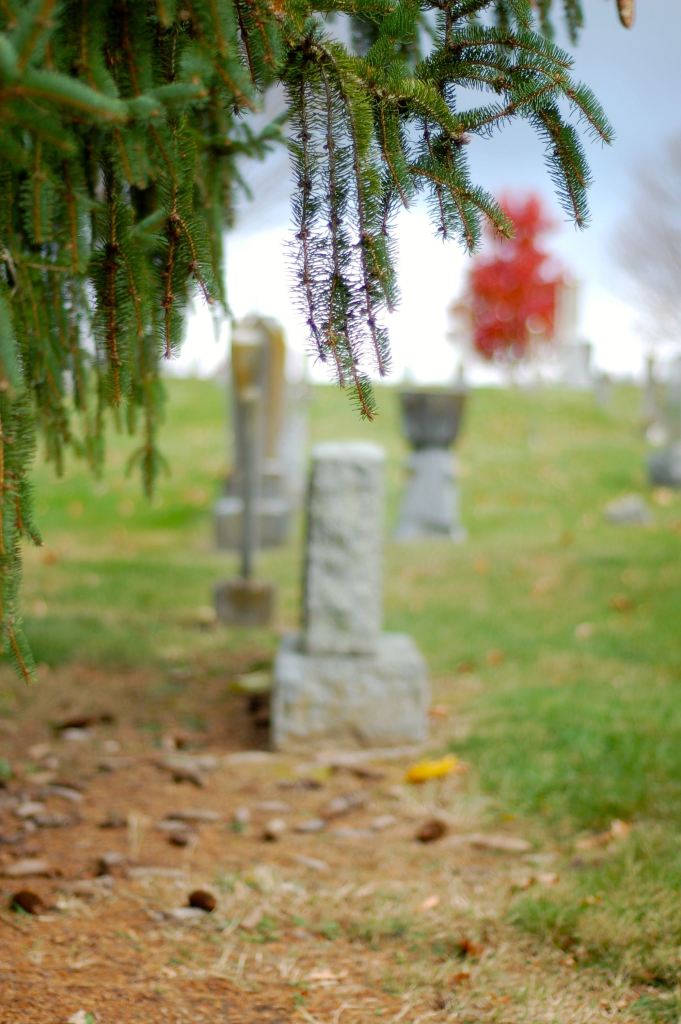 evergreen and tombstones