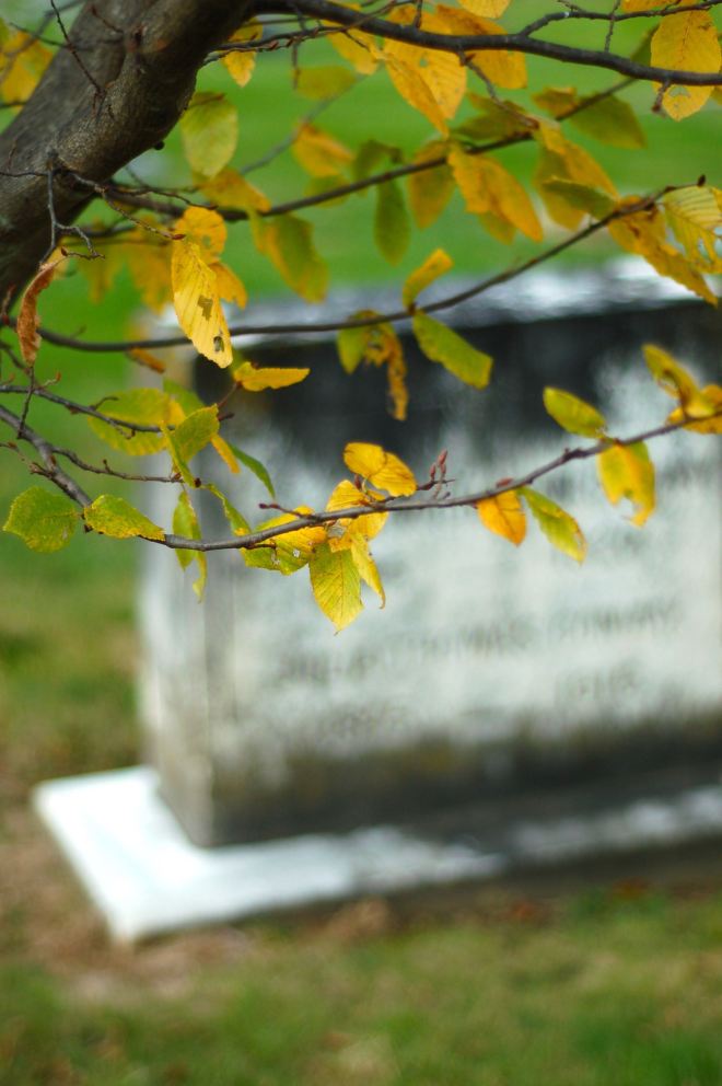Autumn leaves, Westview Cemetery, Blacksburg, VA by Andrea Badgley on Butterfly Mind