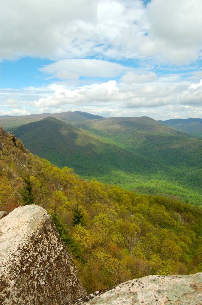 View from Old Rag in Shenandoah National Park by Andrea Badgley on Butterfly Mind
