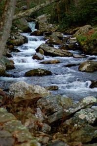 Riffles, Cascades hike by Andrea Badgley on Butterfly Mind