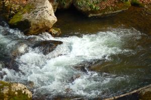 Cascades stream, Virginia by Andrea Badgley on Butterfly Mind