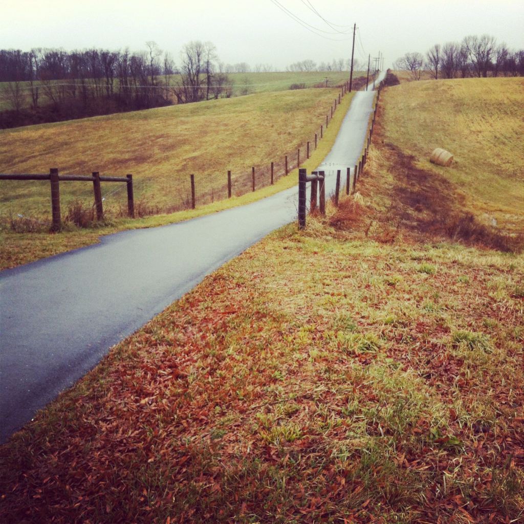 Hilly path by Andrea Badgley on Butterfly Mind