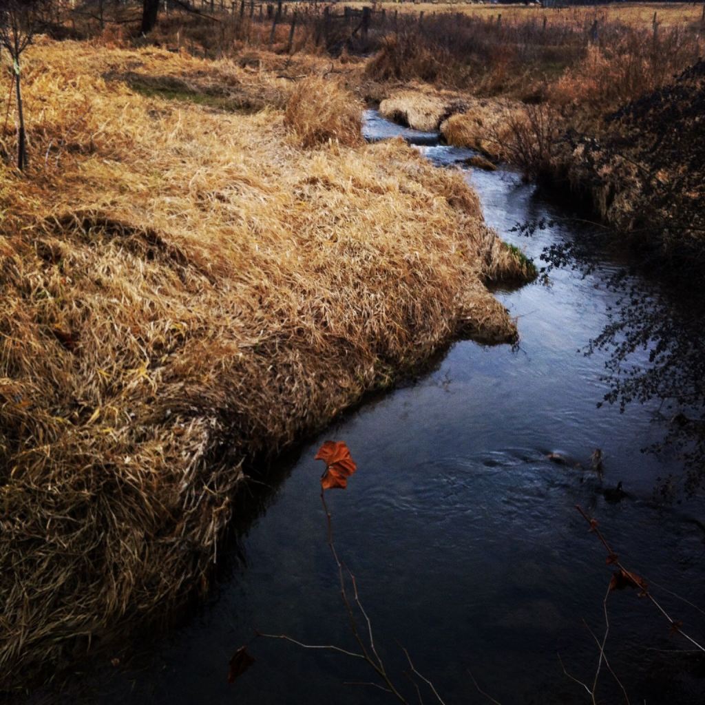 Stroubles Creek, by Andrea Badgley on Butterfly Mind