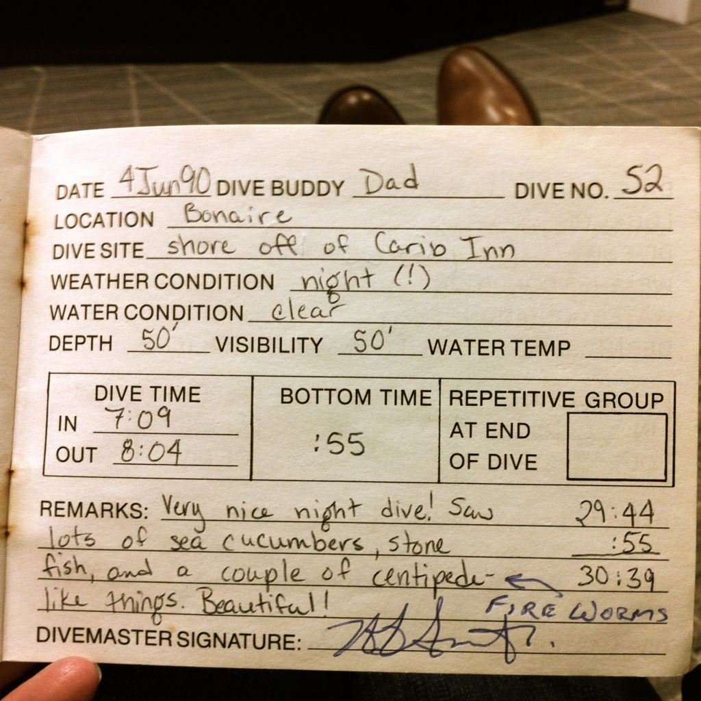 Badgley dive logs, 1990