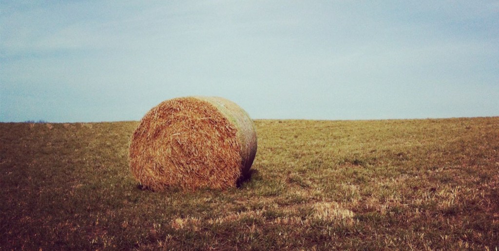 Hay bale by Andrea Badgley on Butterfly Mind