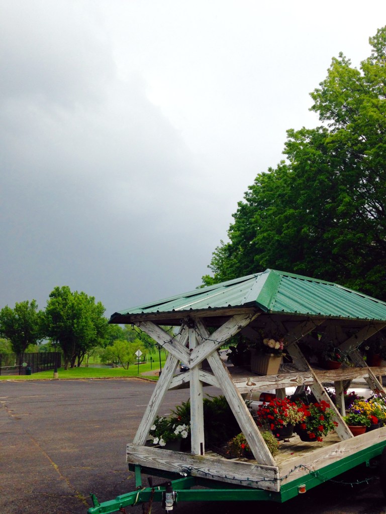 flower cart hethwood market Blacksburg by Andrea Badgley on Butterfly Mind