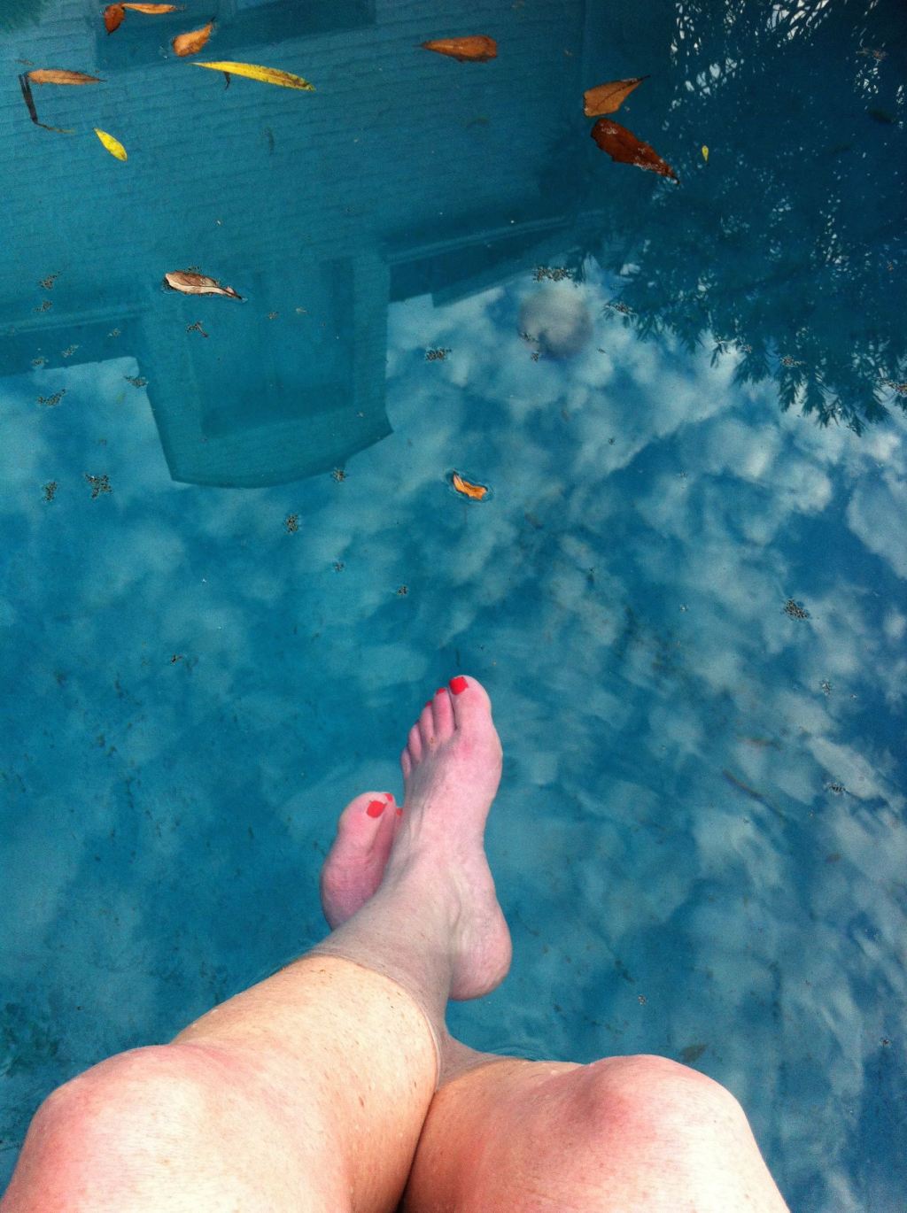 reflection of clouds in pool by Andrea Badgley on Butterfly Mind