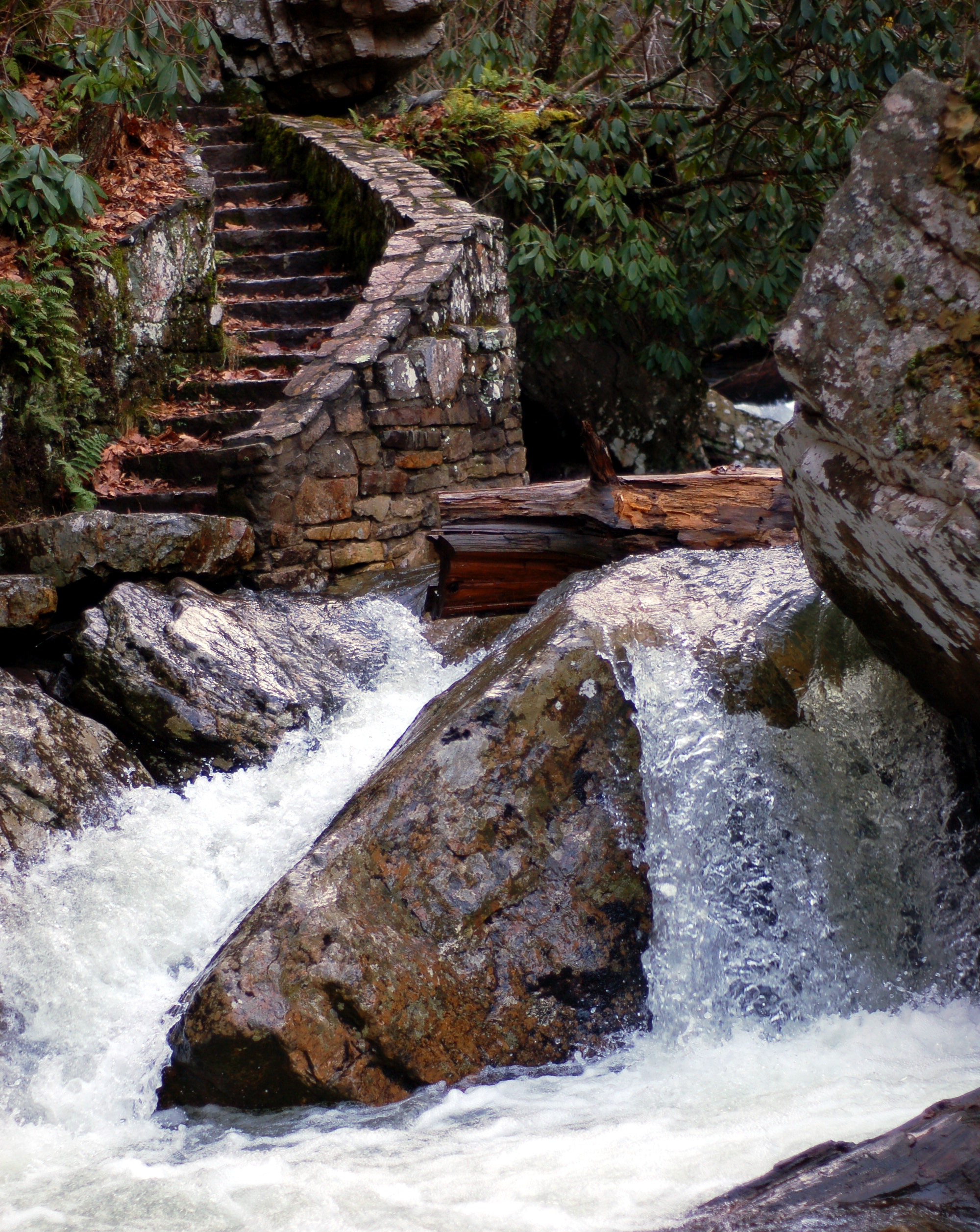 stairs and stream