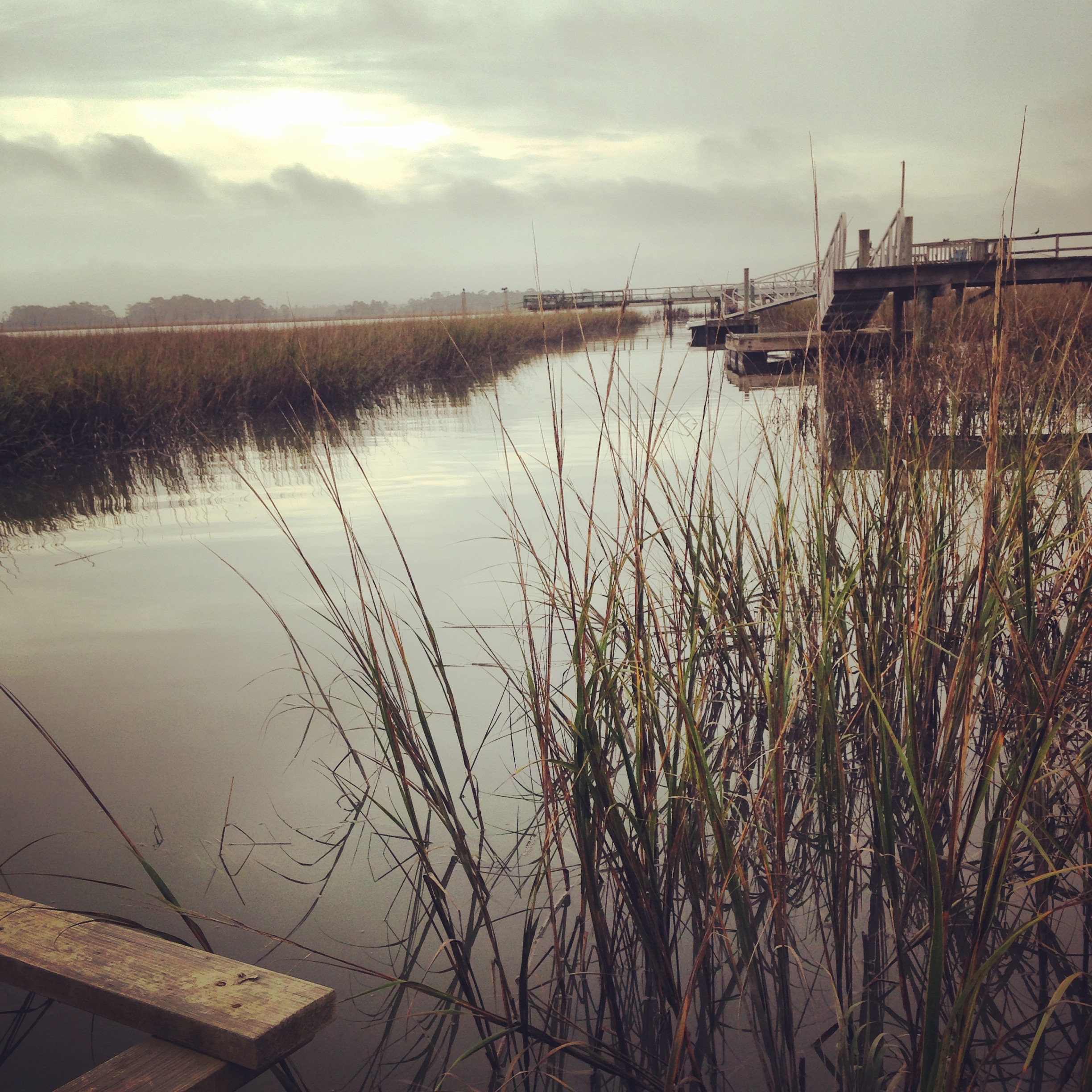 Marsh and tidal creek, coastal Georgia