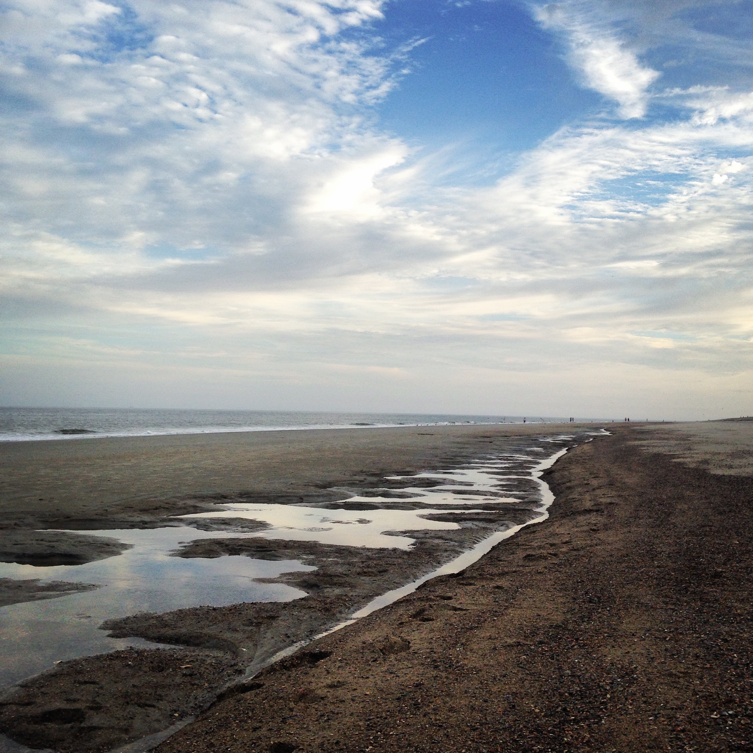 Low tide, Tybee Island beach, December
