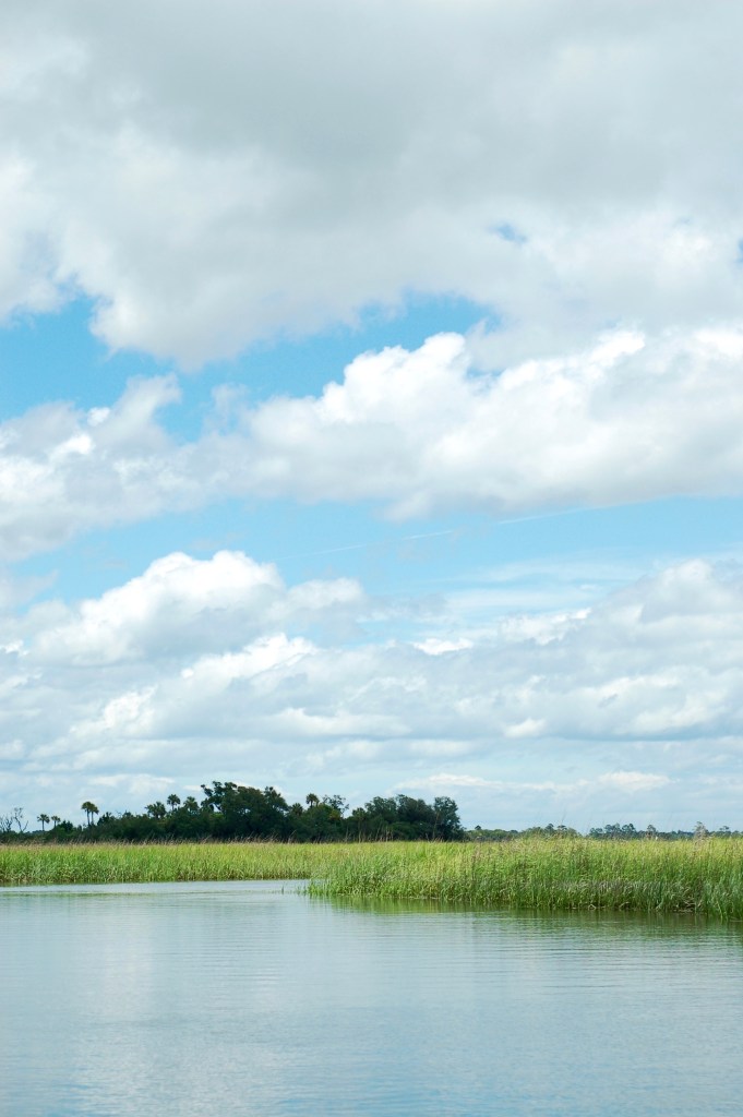 River and salt marsh with clouds