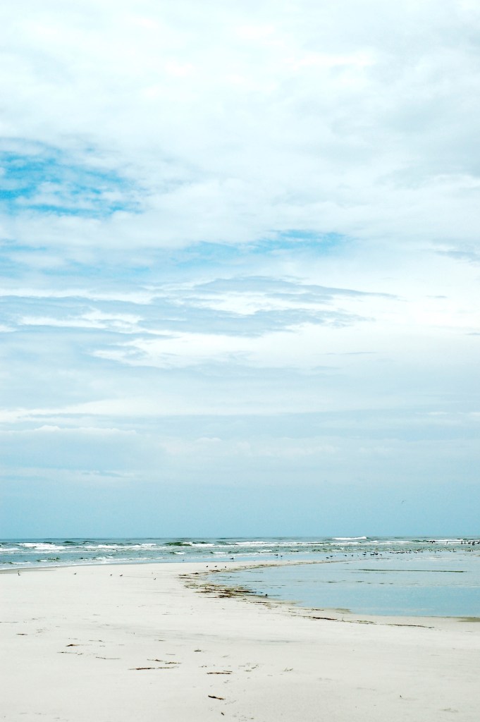 sandbar spit blue sky birds tybee