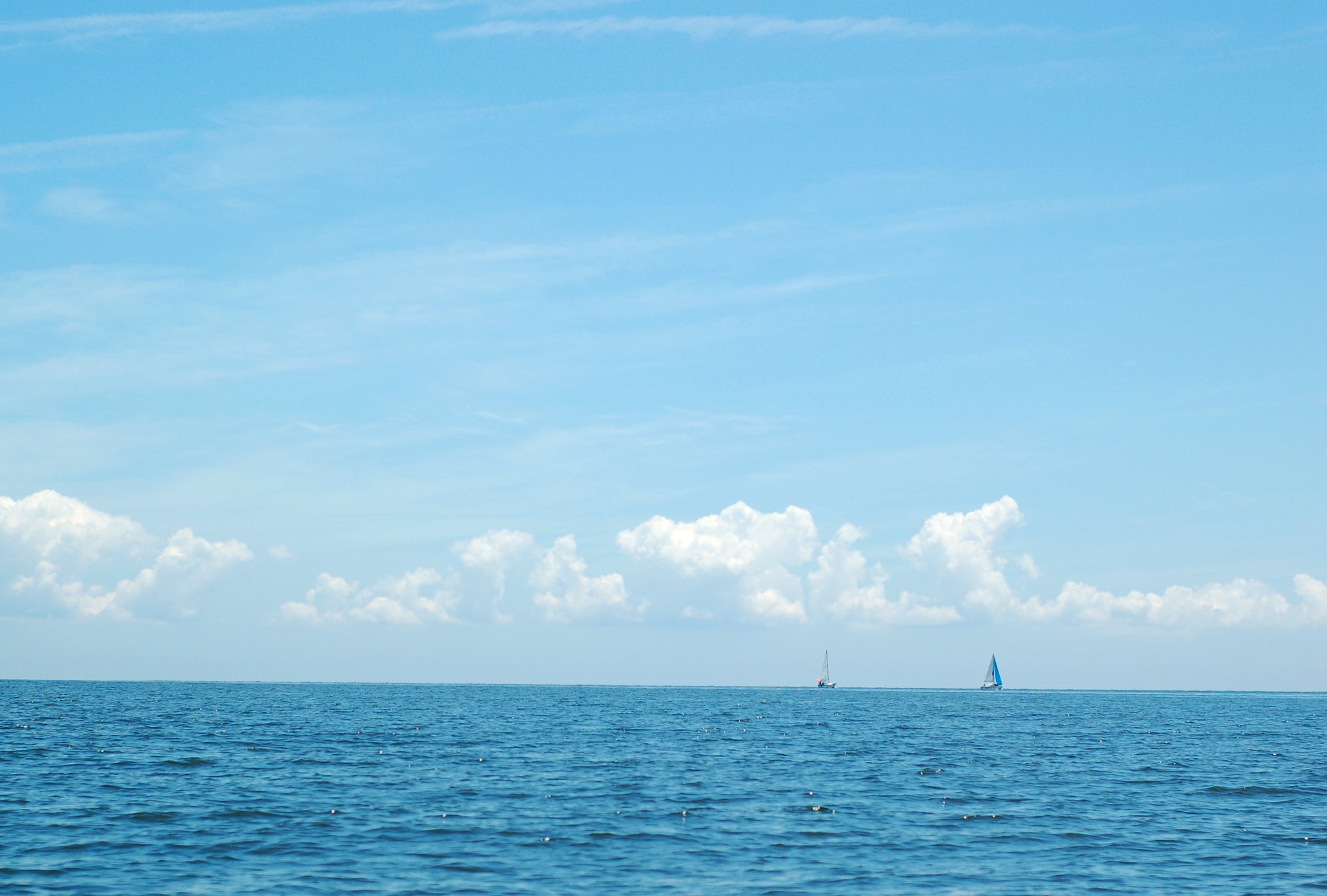 sailboats on the chesapeake 3