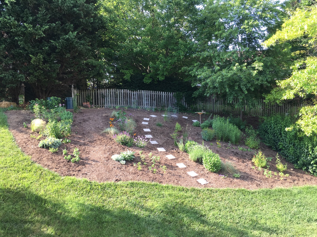 6 back hill June 17 copy