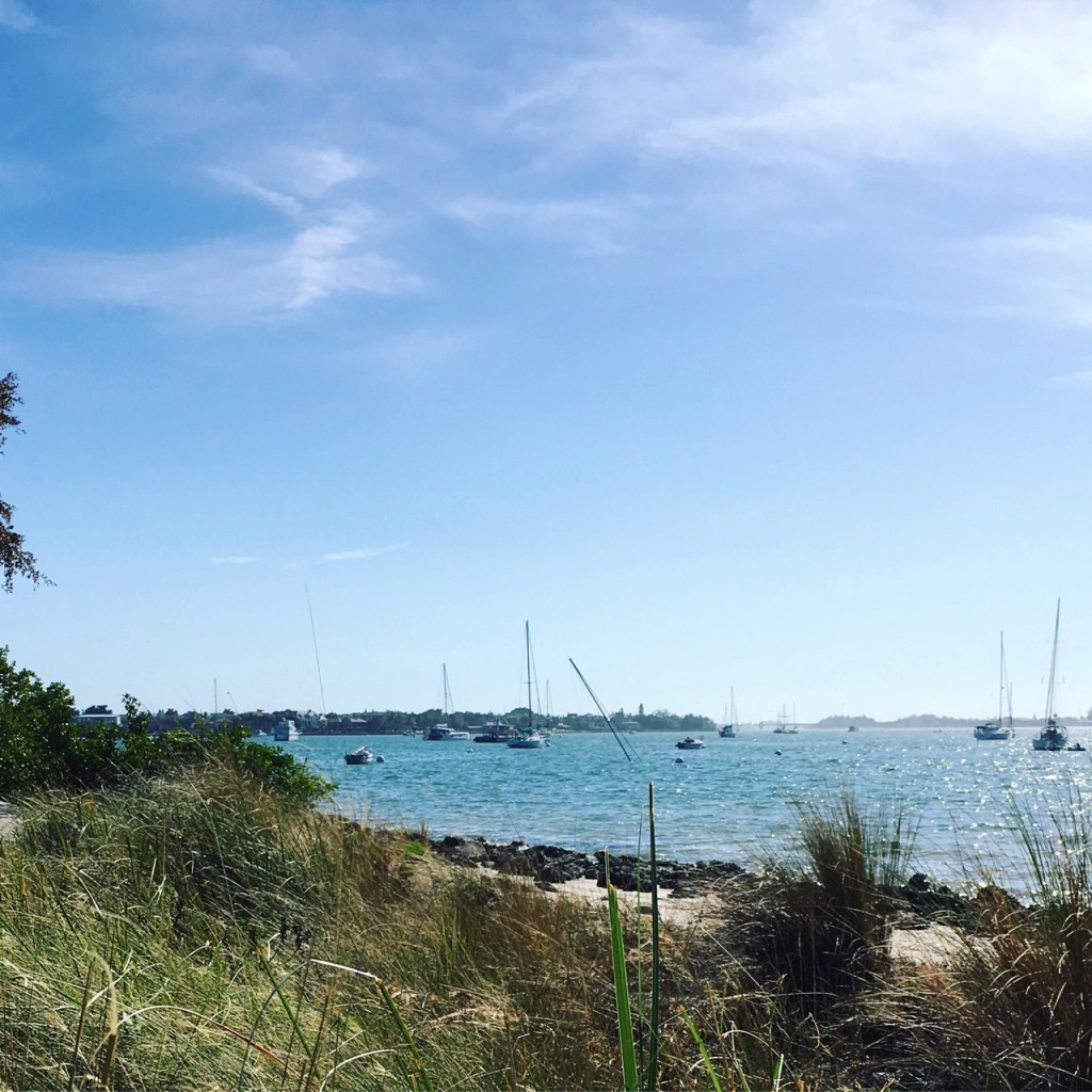 boats moored sarasota bay