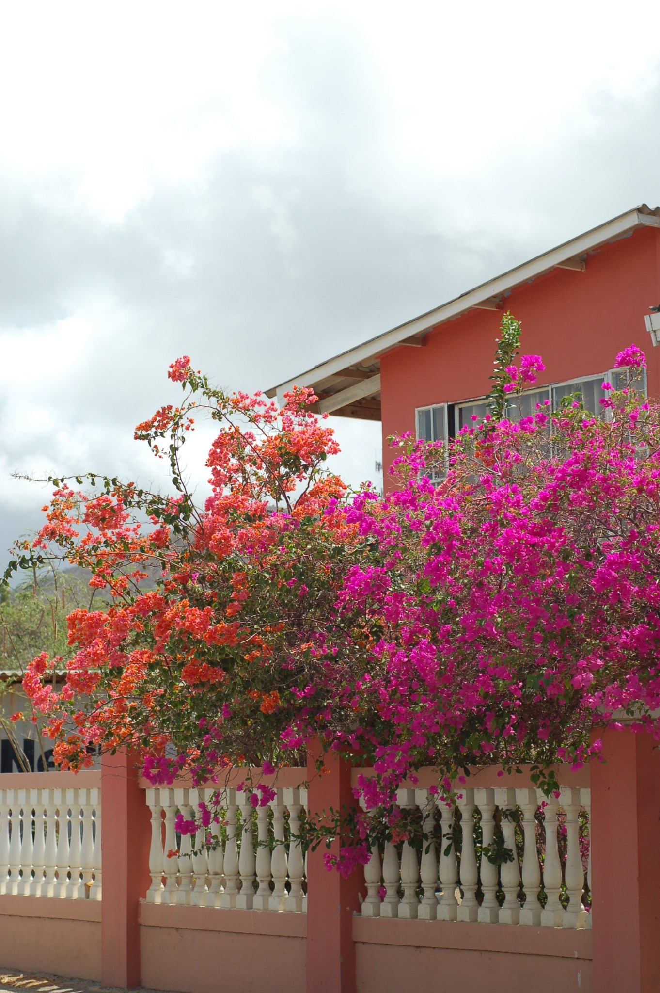 bouganvilla and coral house_0036