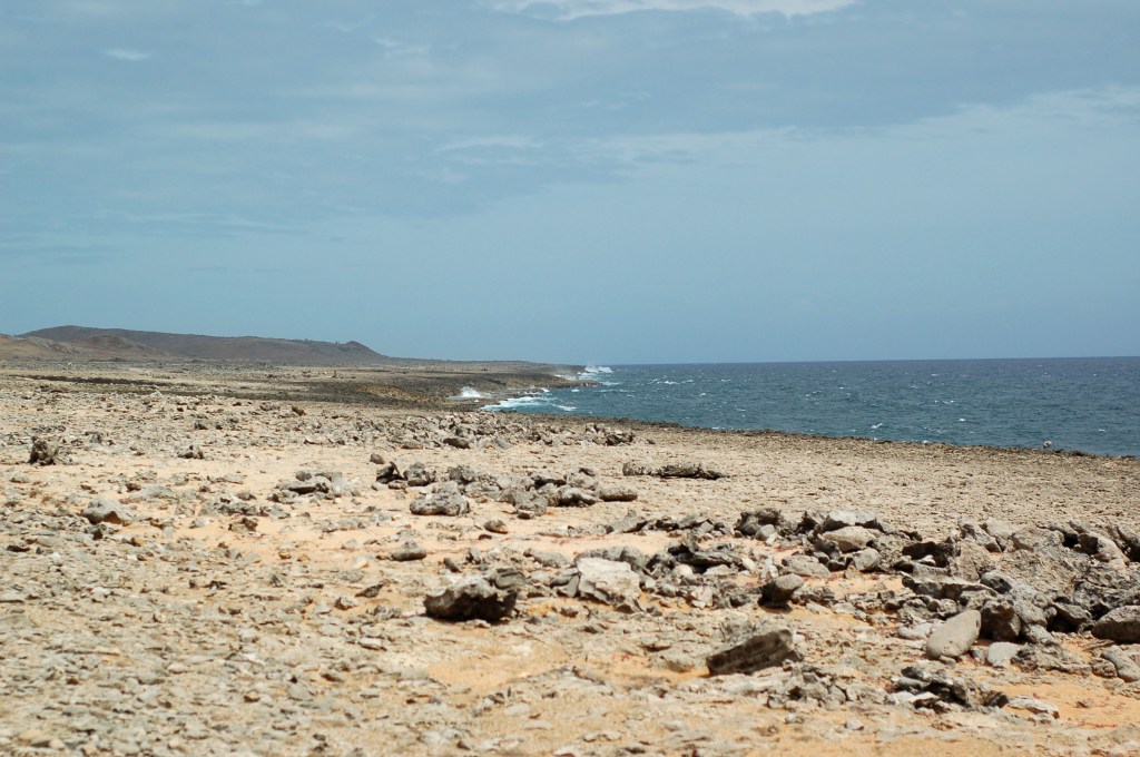 marsscape and ocean curacao_0087